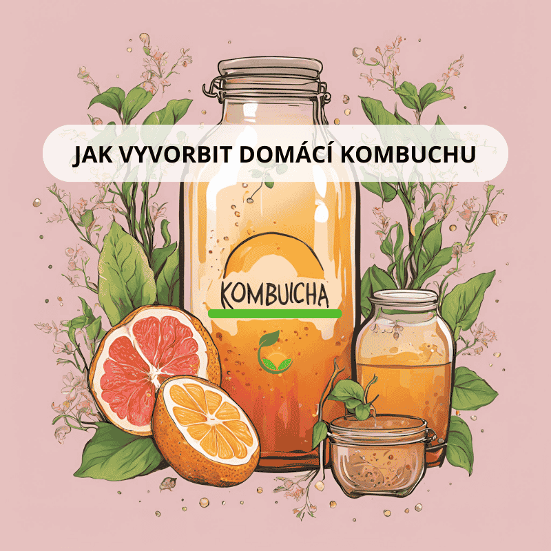 Jak vyrobit domácí kombuchu