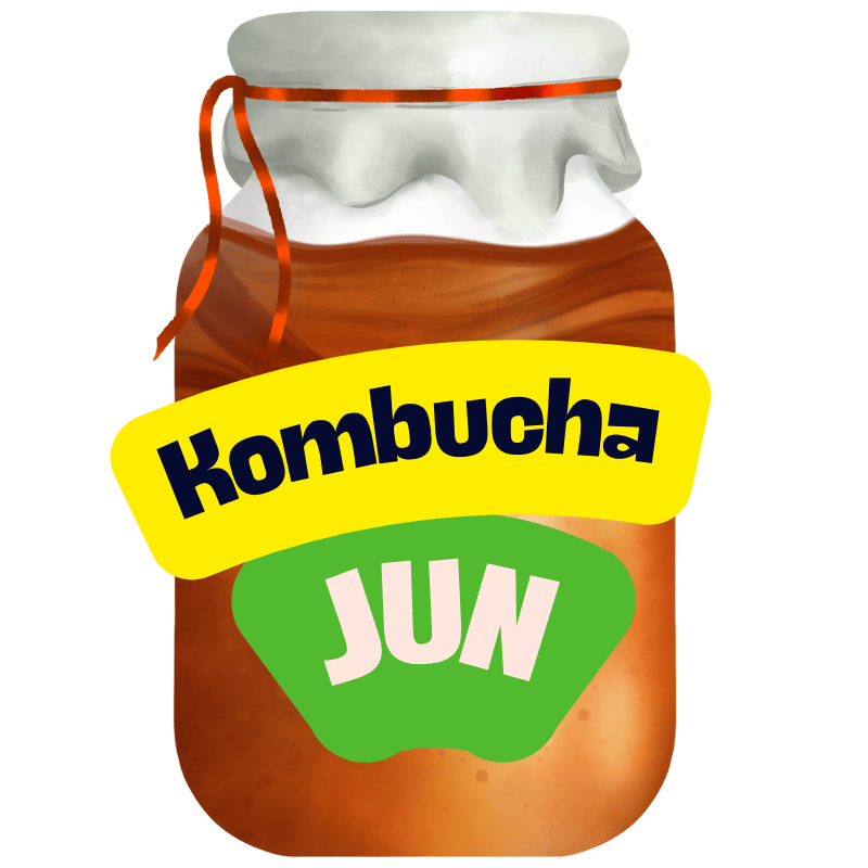 Co je Jun kombucha