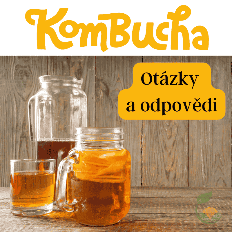 Výroba kombuchy – časté otázky a odpovědi