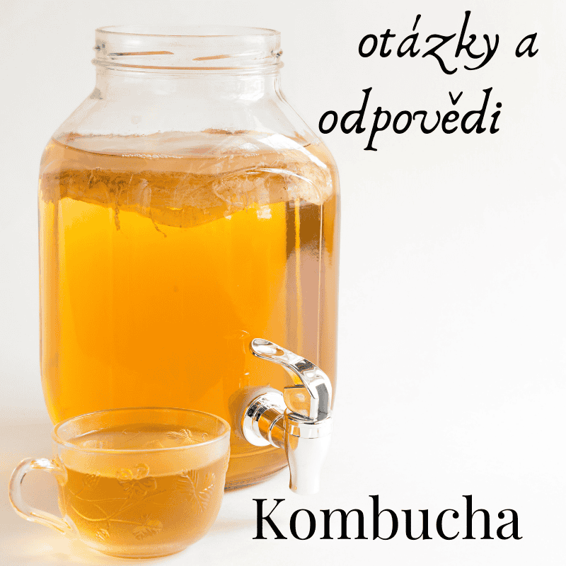 Kombucha – nejčastější otázky